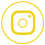 insta-icon